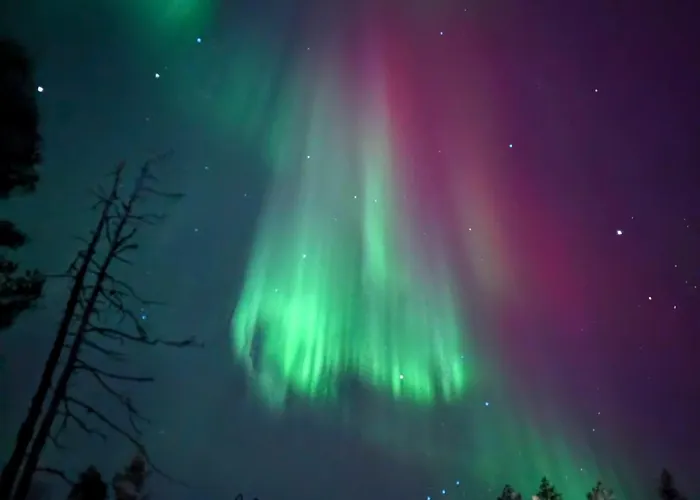 Yllaes Nietos & 2 Tickets * Ylläsjärvi